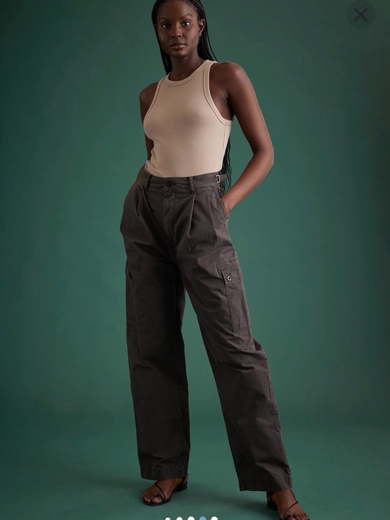 American Eagle Outfitters Pants - American Eagle Outfitters Wide-Leg Cargo Pants in Dark Brown